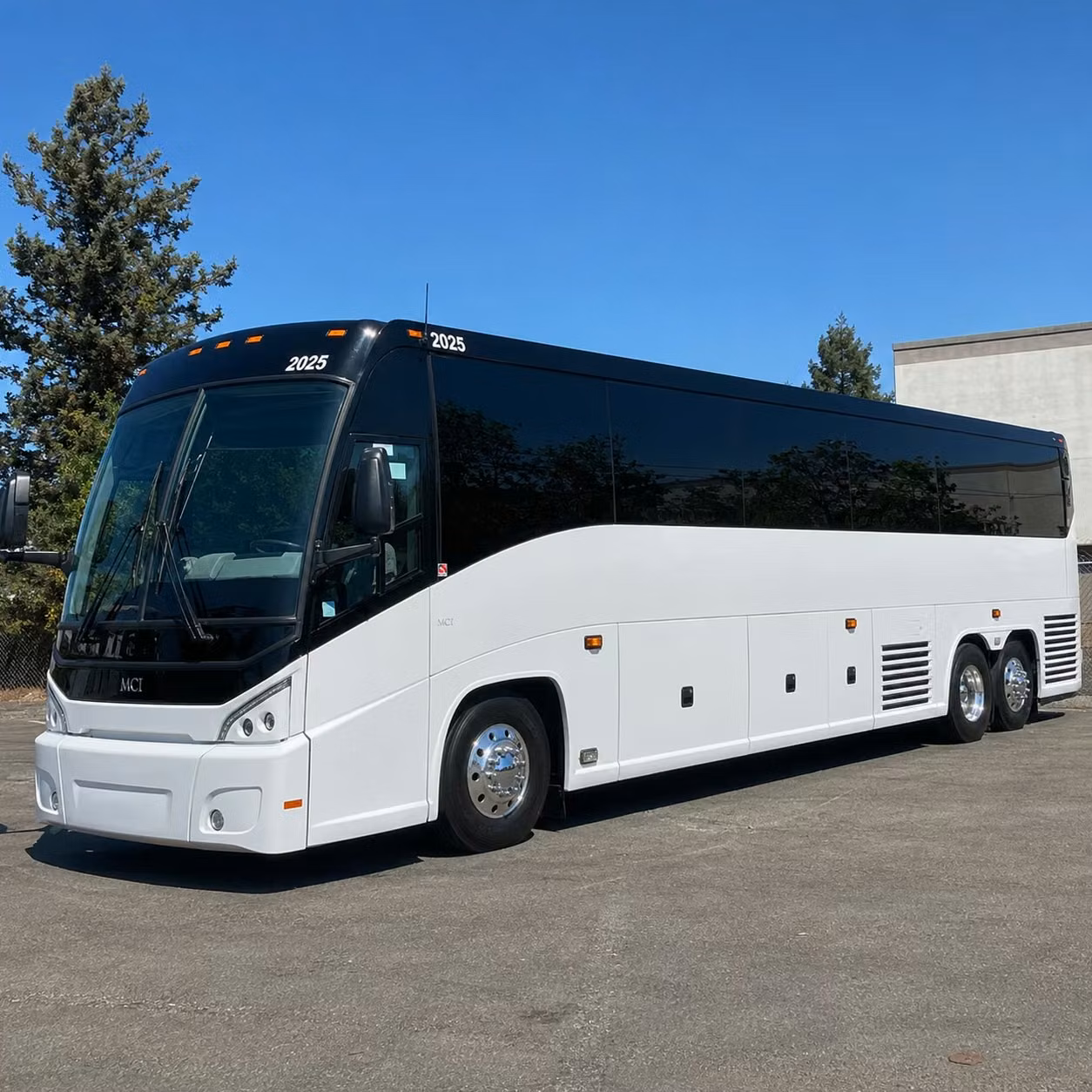 56 passenger charter bus
